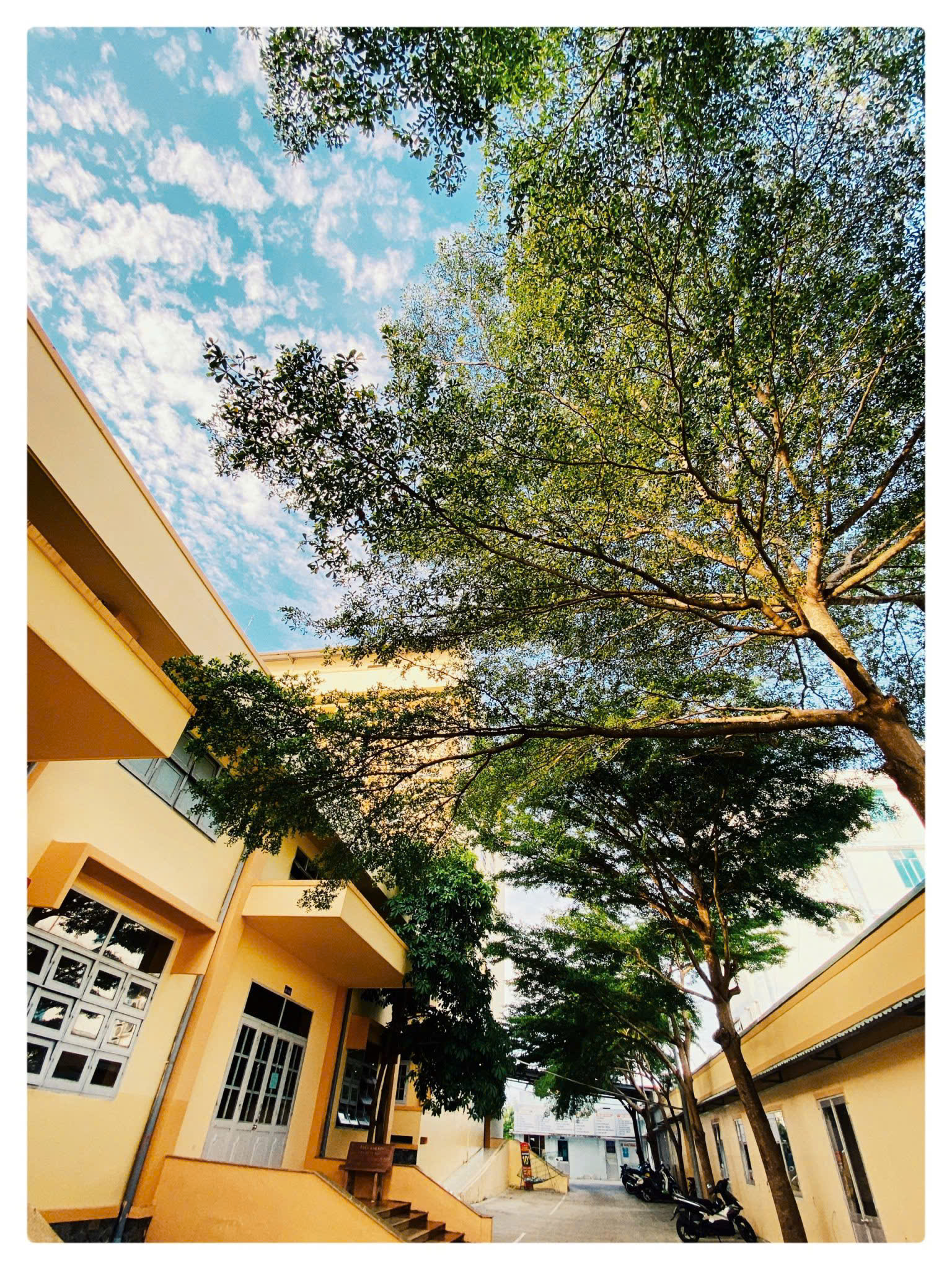 Khuôn viên Phân hiệu Trường Đại học Bình Dương tại Cà Mau